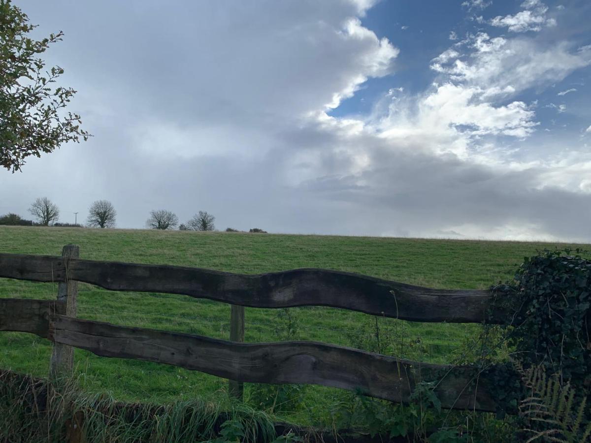 Character Dartmoor Cottage Єлвертон Екстер'єр фото